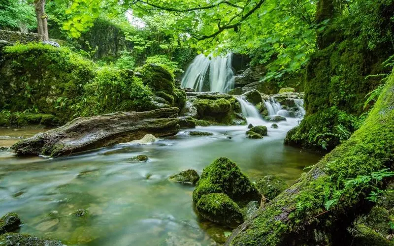 高端高标准